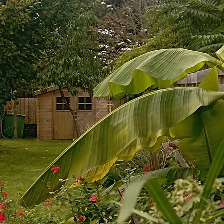 Chaleureux A Asserac, Proche Mer, Jardin Prive, Wifi - Fr-1-306-1285 *