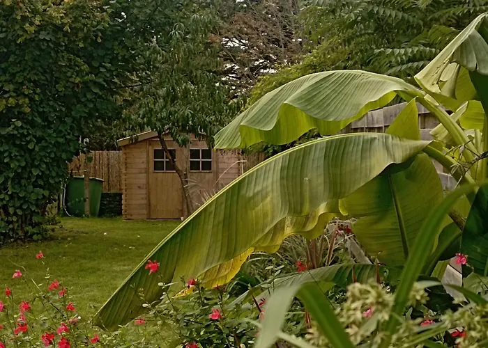 Chaleureux A Asserac, Proche Mer, Jardin Prive, Wifi - Fr-1-306-1285 *